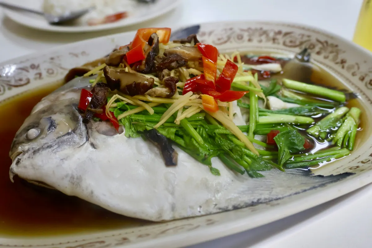 Cá hấp gừng và rau thơm trên đĩa gốm trắng